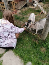 Hakunin kotieläintilan kokopäiväretki, la 11.6.