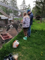 Hakunin kotieläintilan kokopäiväretki, la 11.6.